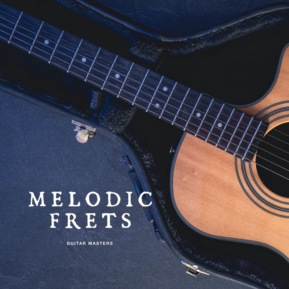 Picture of Melodic Frets