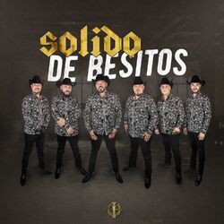 Cover of De Besitos