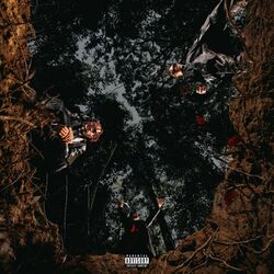 Cover of 5TH AMNDMNT