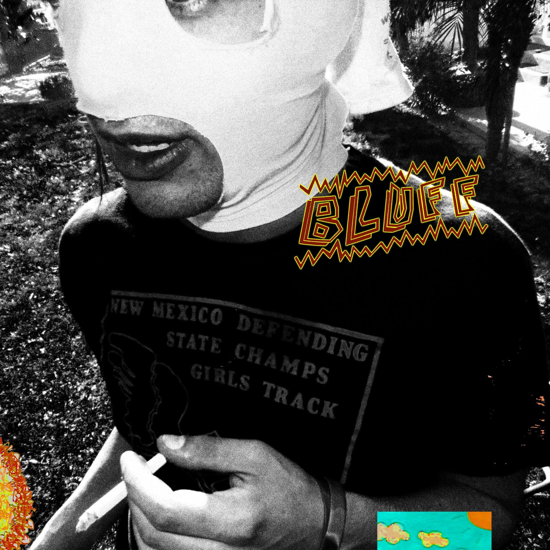 Album cover of BLUFF