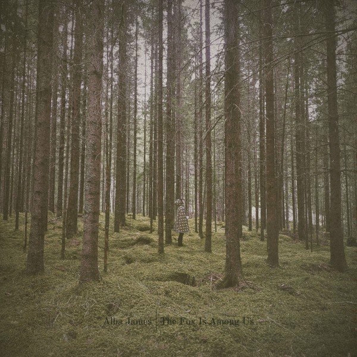 Album cover of The Fox Is Among Us