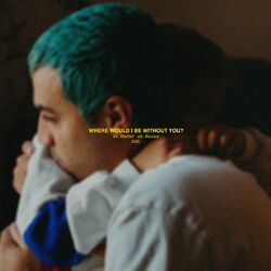 Cover of Where Would I Be Without You?