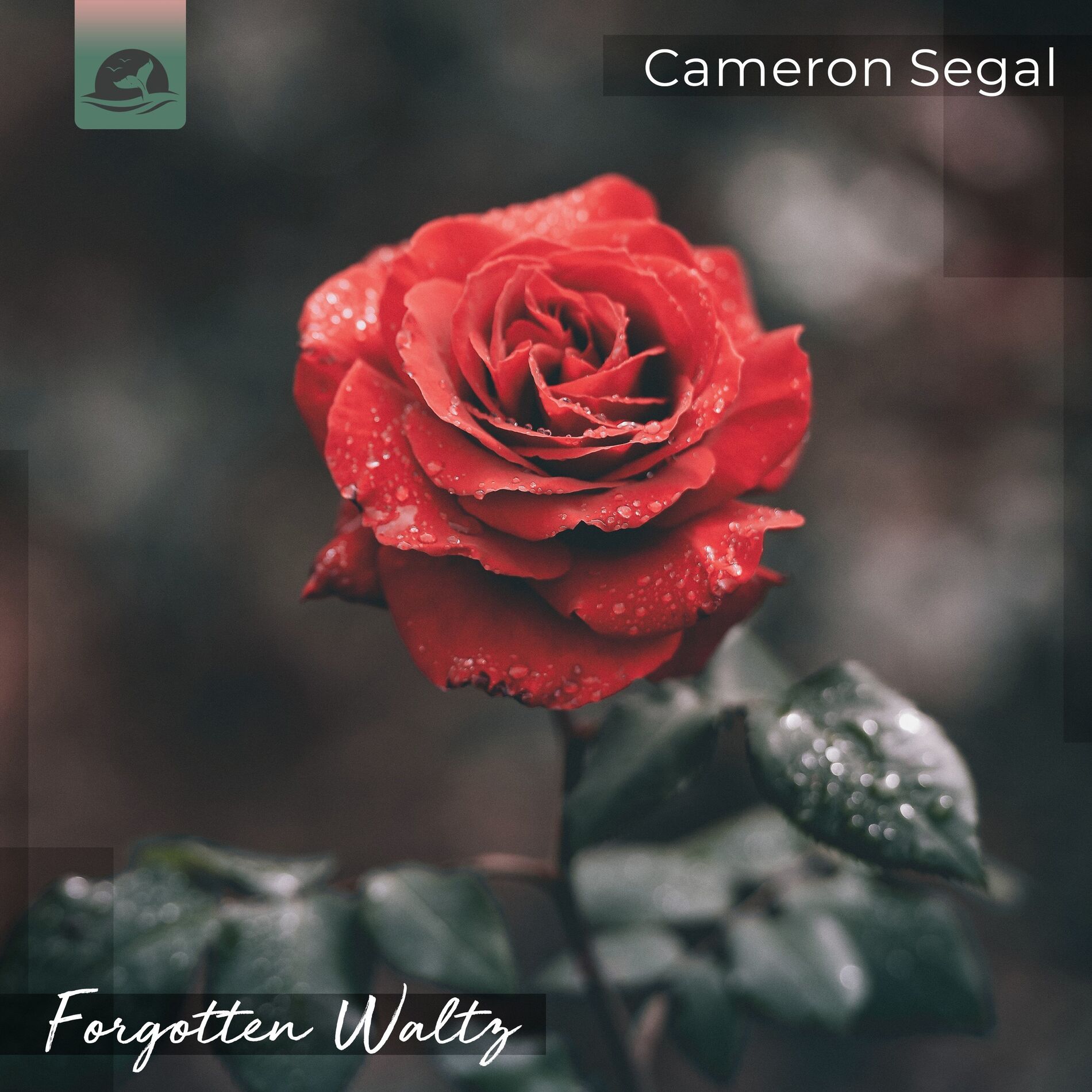 Album cover of Forgotten Waltz
