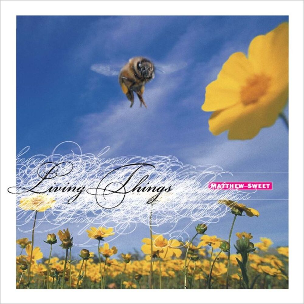 Picture of Living Things