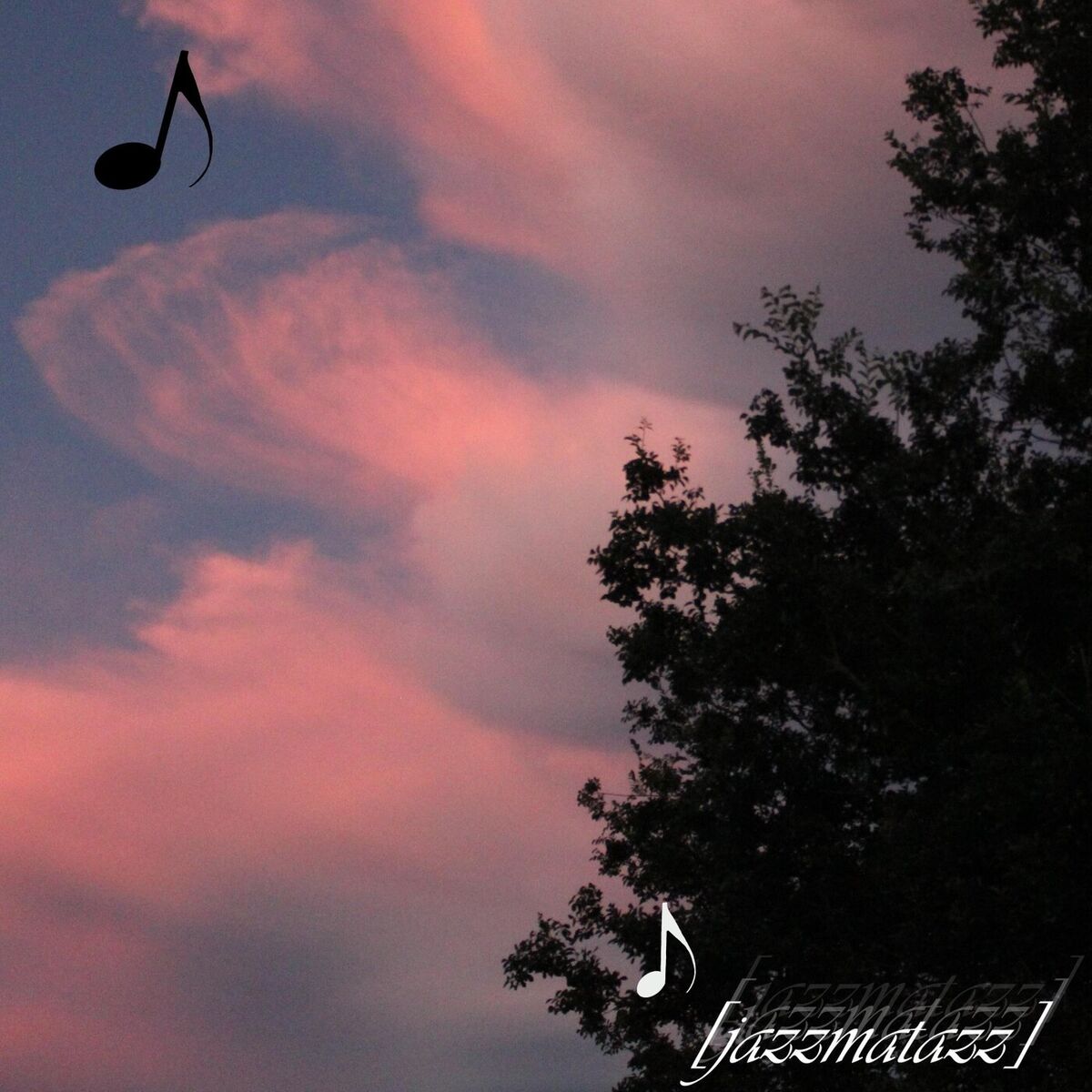 Album cover of (jazzmatazz)