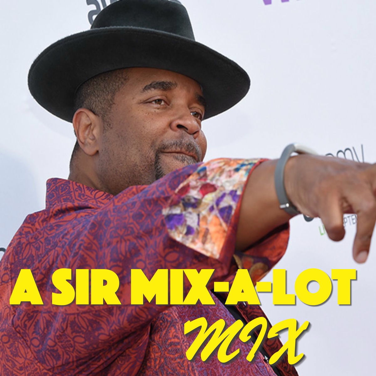 Album cover of A Sir Mix-A-Lot Mix
