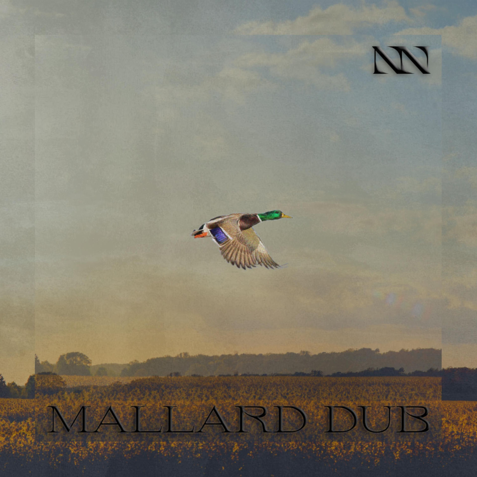 Album cover of Mallard Dub