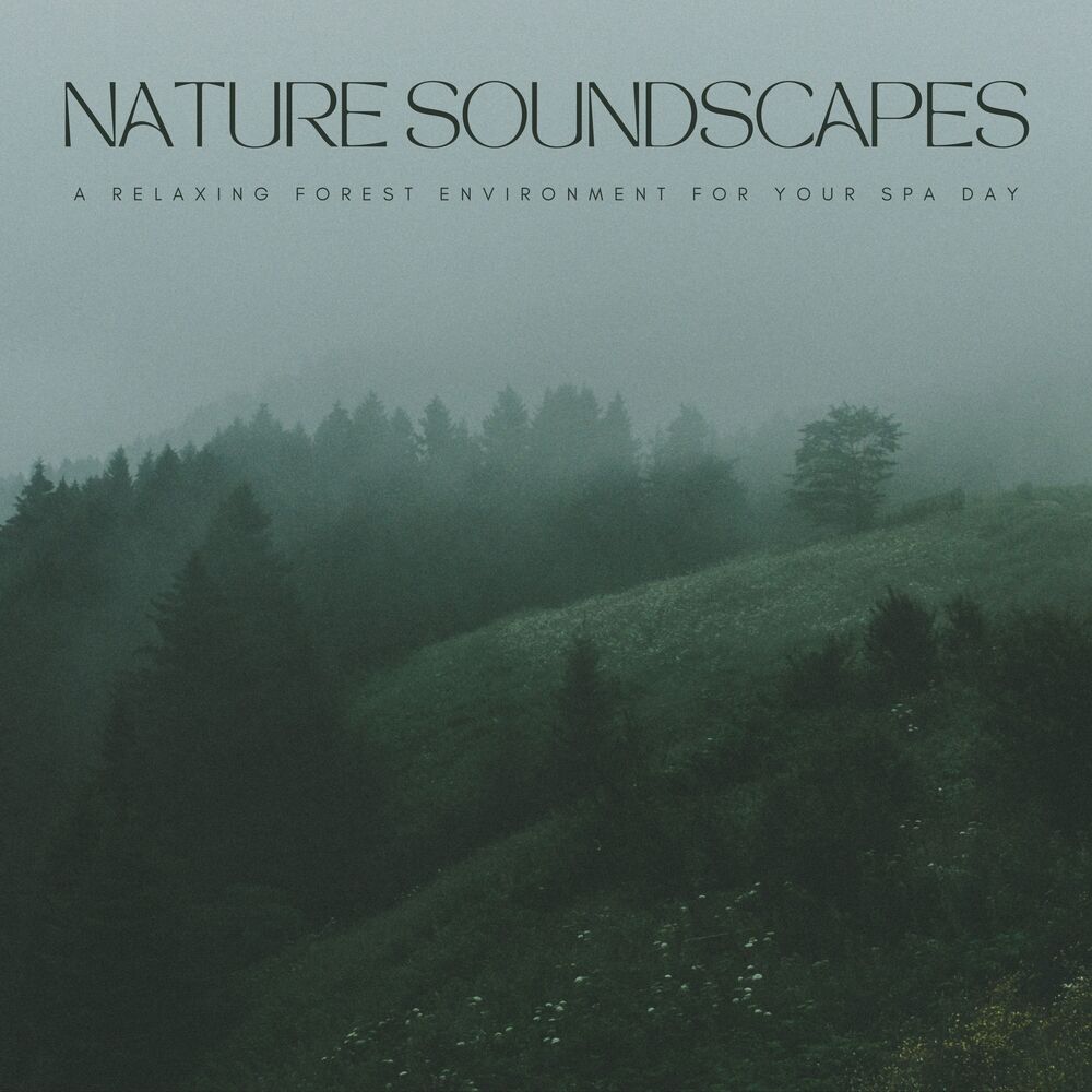 Picture of Nature Soundscapes: A Relaxing Forest Environment For Your Spa Day