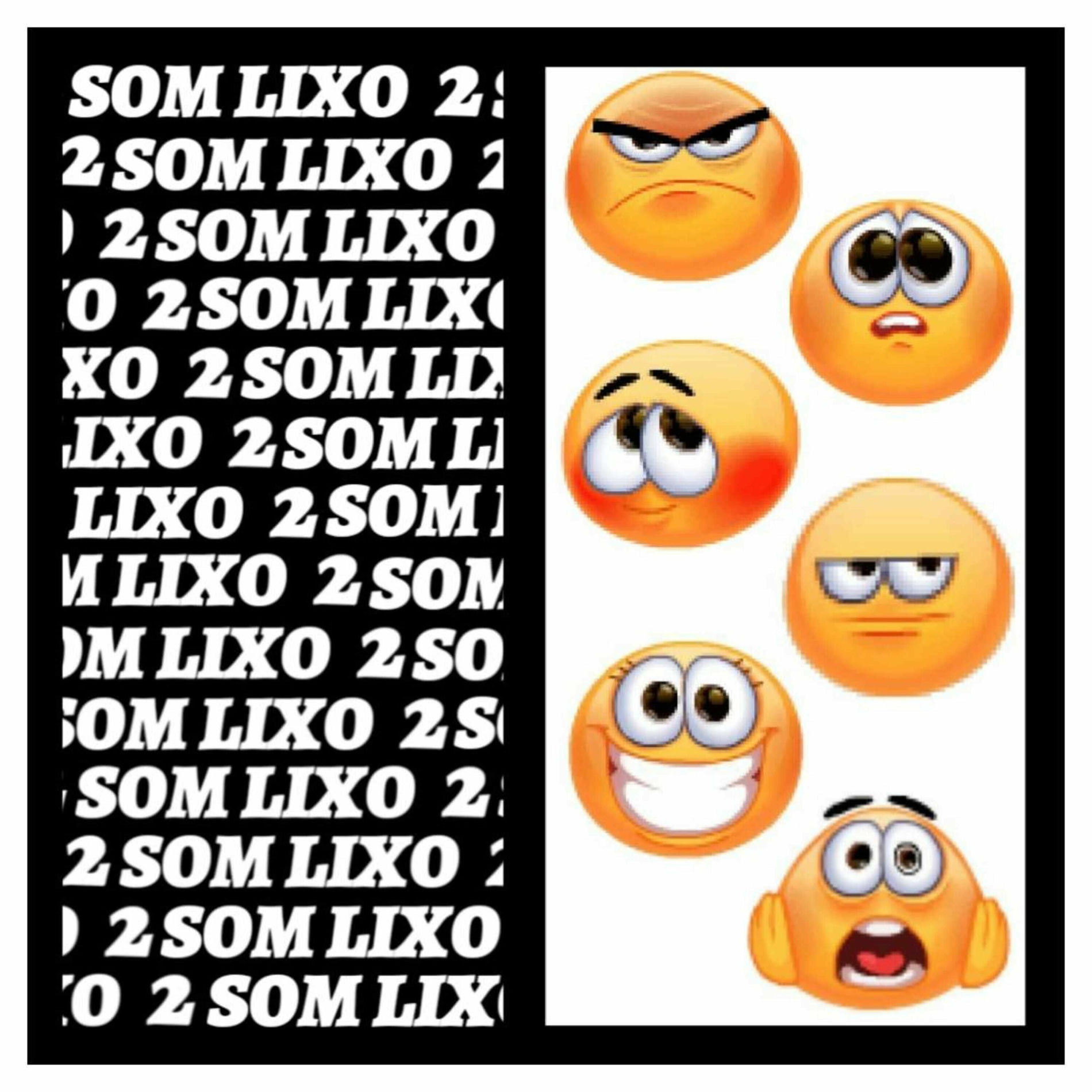 Album cover of Som Lixo 2