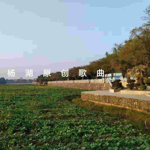 杨湖原创歌曲