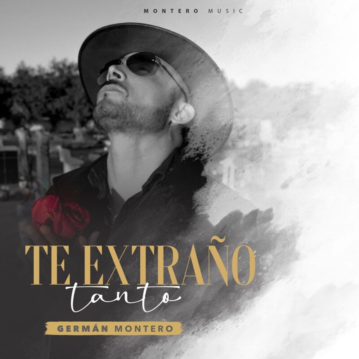 Album cover of Te extraño tanto