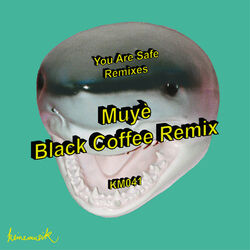 Cover of Muyè (Black Coffee Remix)