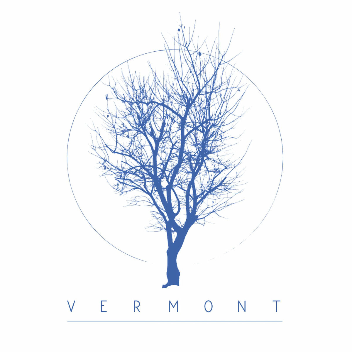 Album cover of VERMONT