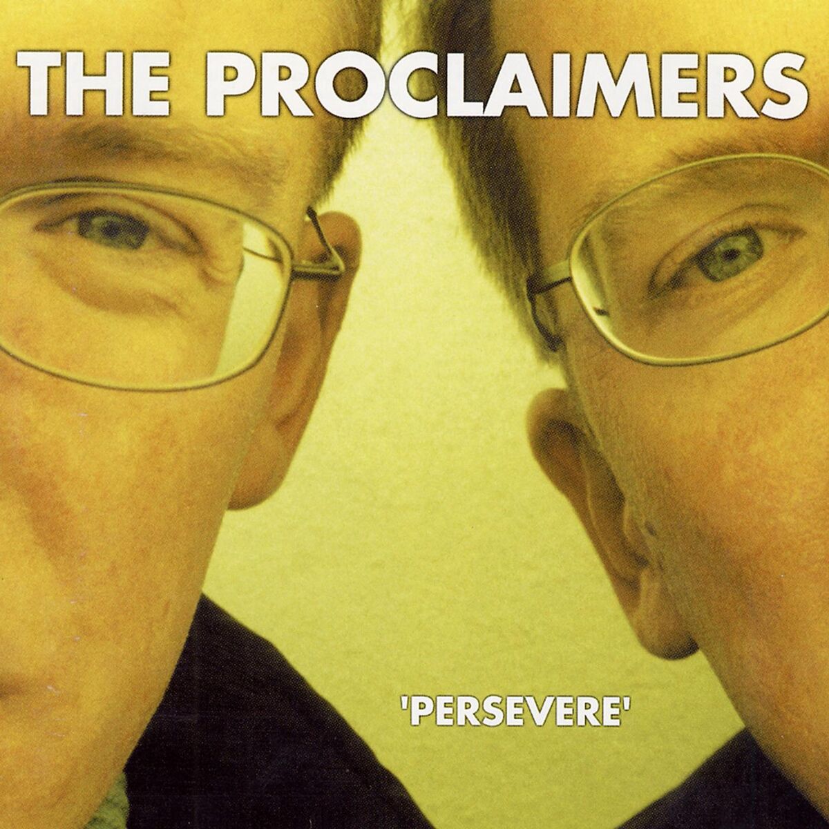 Album cover of Persevere