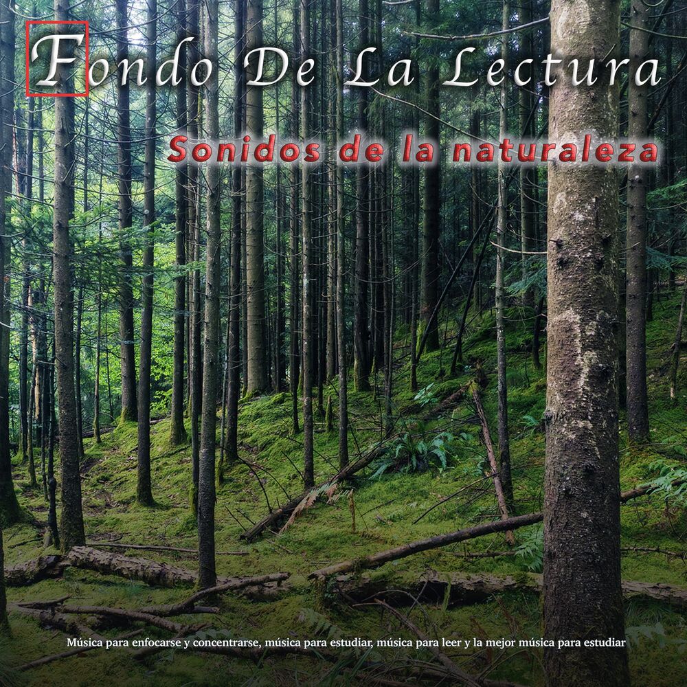 Picture of Fondo De La Lectura - Sonidos de la naturaleza - Música para enfocarse y concentrarse, música para estudiar, música para leer y la
