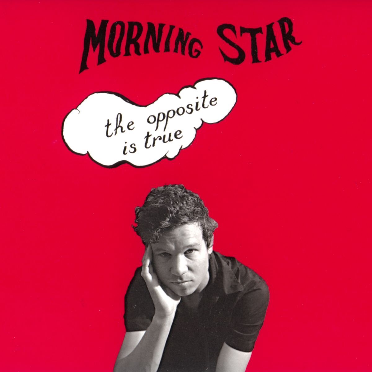 Album cover of The opposite is true
