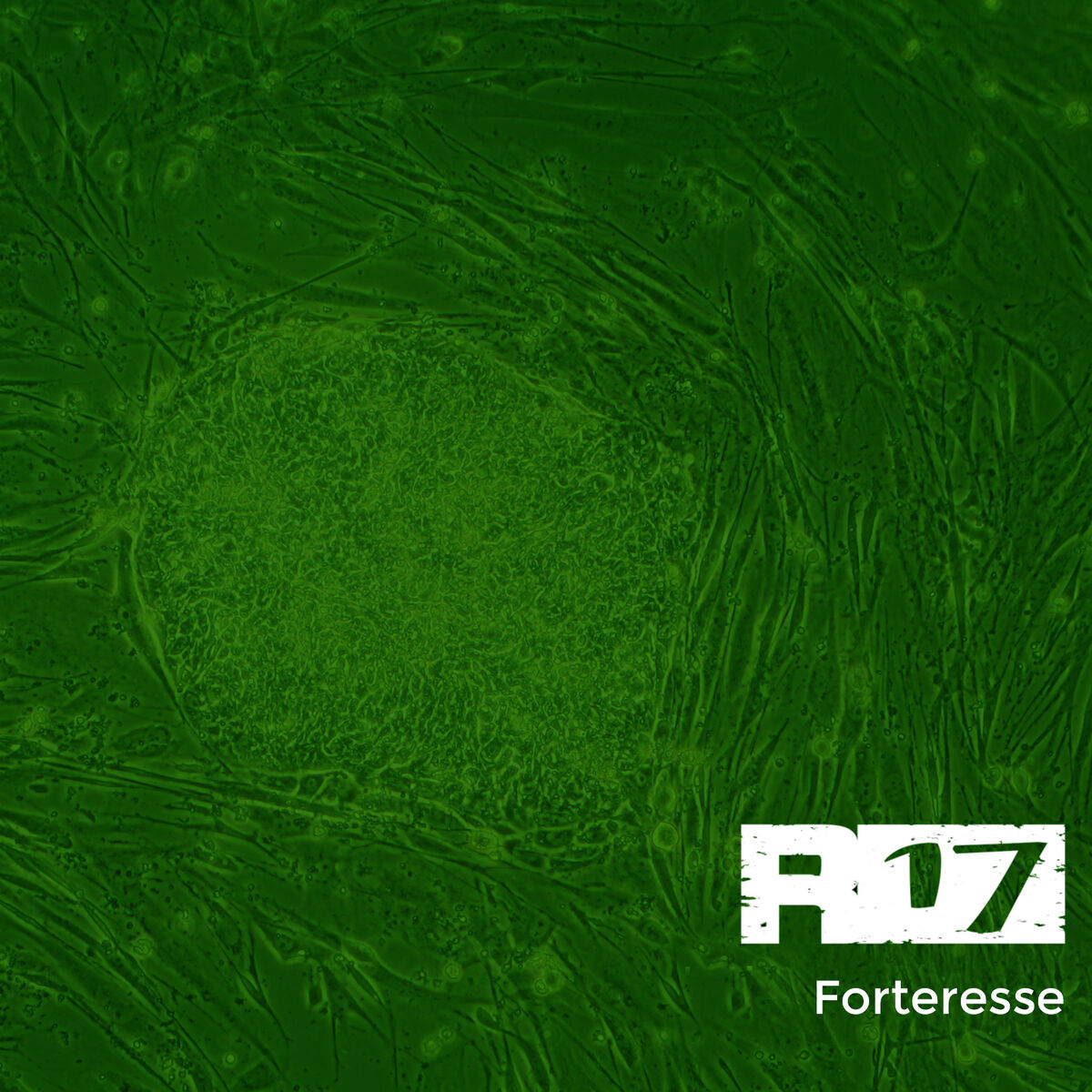 Album cover of Forteresse (Remix)