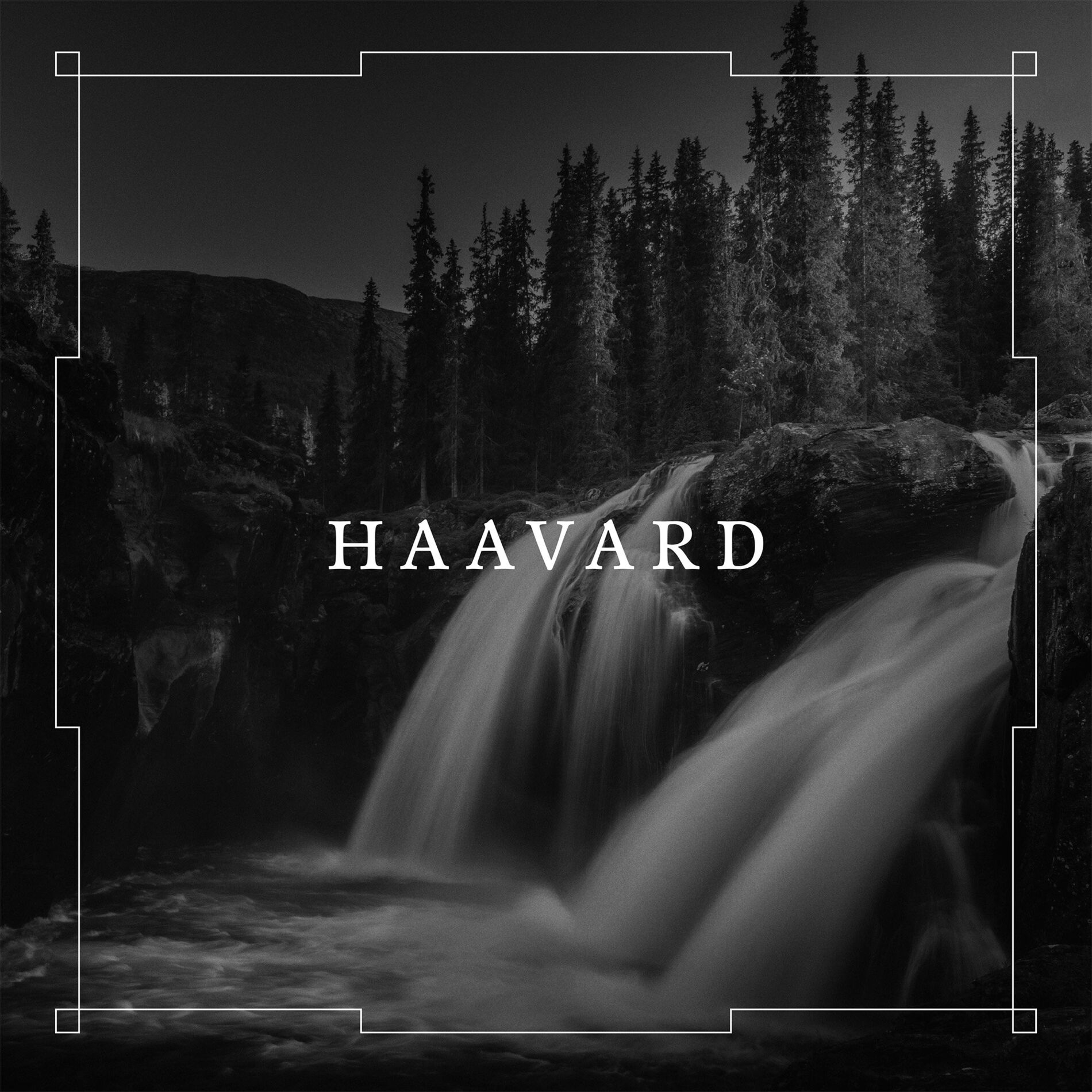 Album cover of Haavard