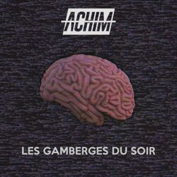 Cover of Les gamberges du soir