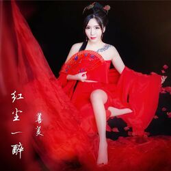 Cover of 红尘一醉