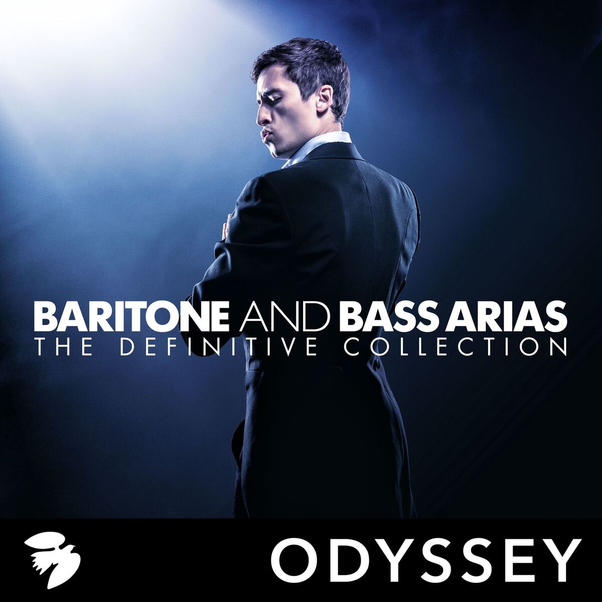 Album cover of Baritone and Bass Arias: The Definitive Collection