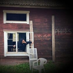 Cover of Rises Again (I skuggan av mörkret)