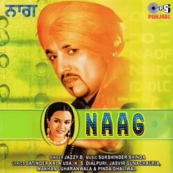 Cover of Naag