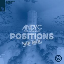 Positions (VIP Mix)