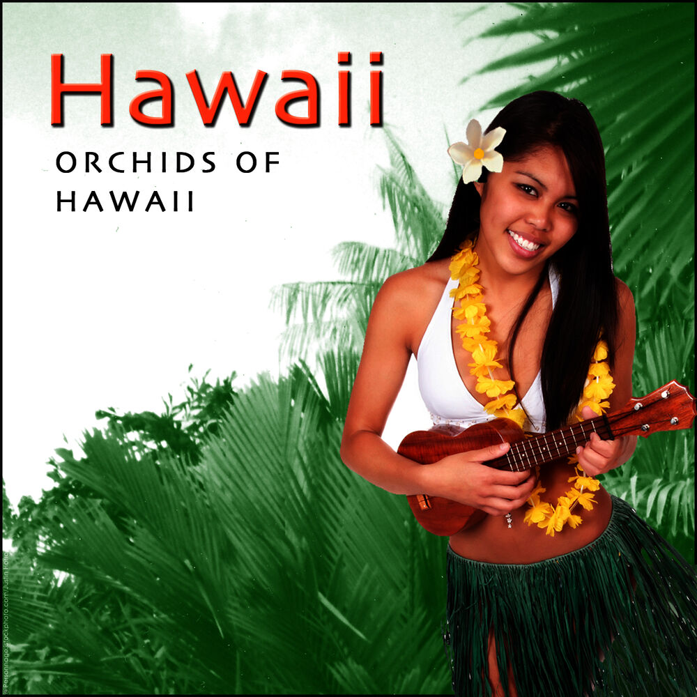 Picture of Orchids Of Hawaii - Hawaiian Guitar