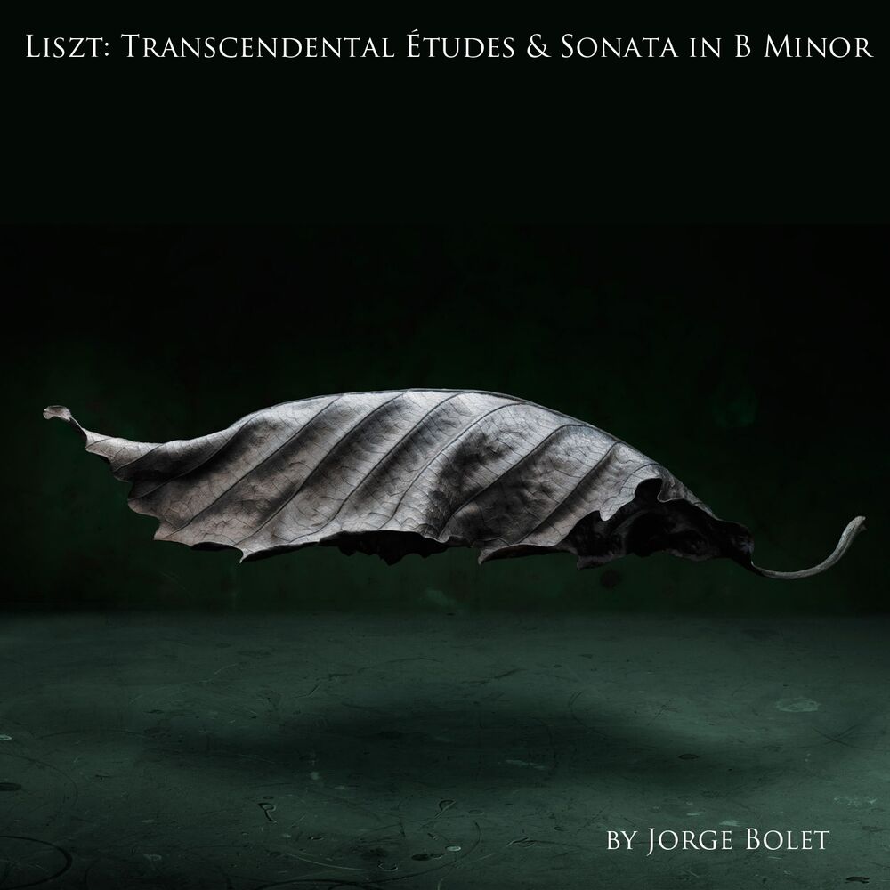 Picture of Liszt: Transcendental Études & Sonata in B Minor