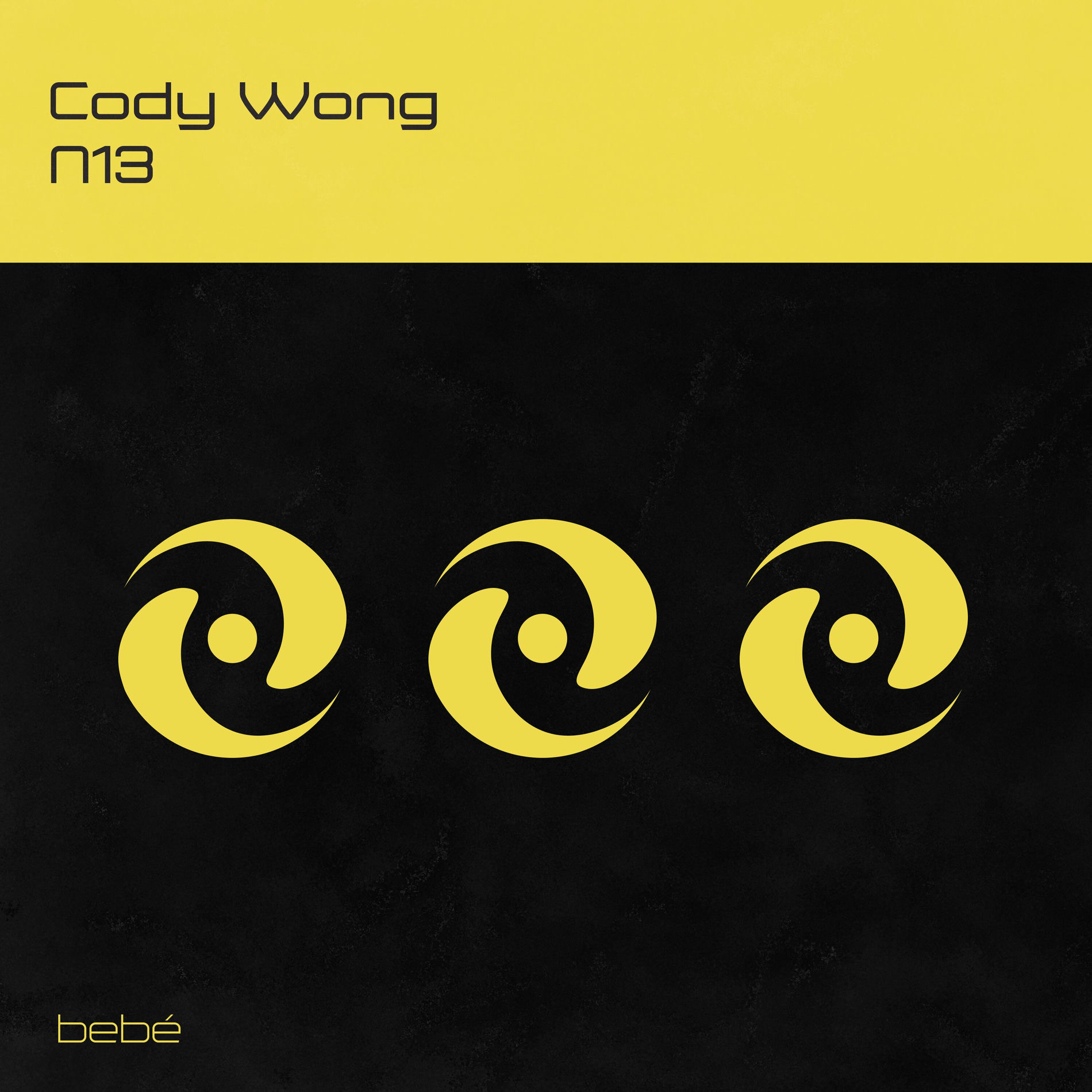 Album cover of N13