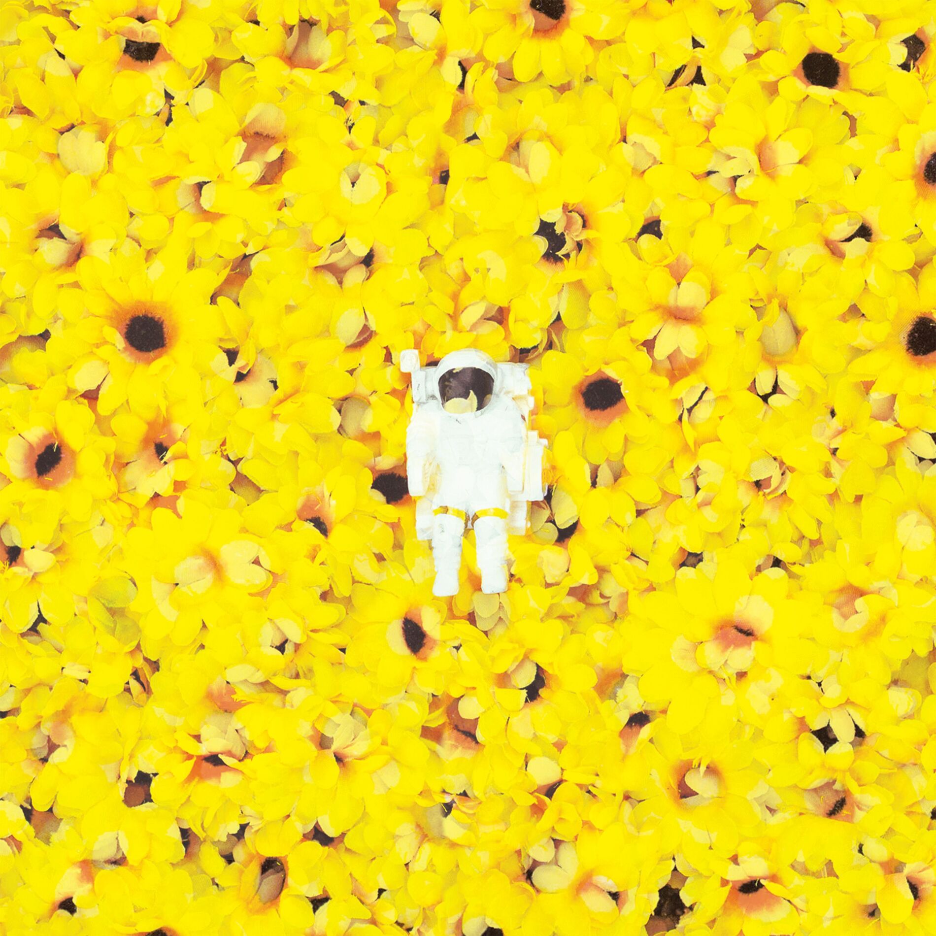 Album cover of Sunflower