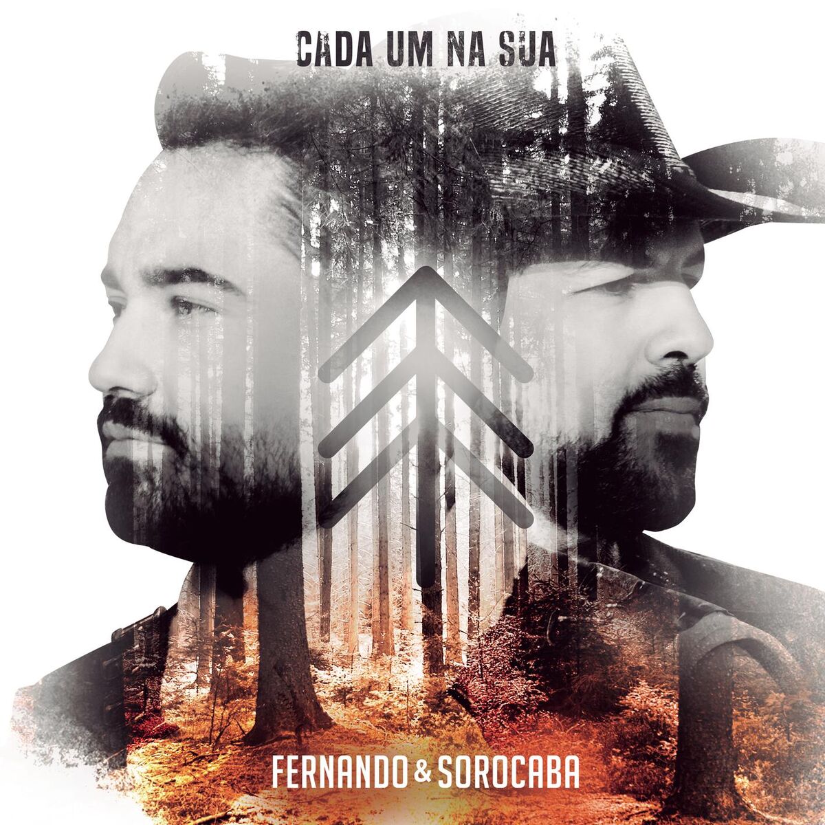 Album cover of Cada um na Sua