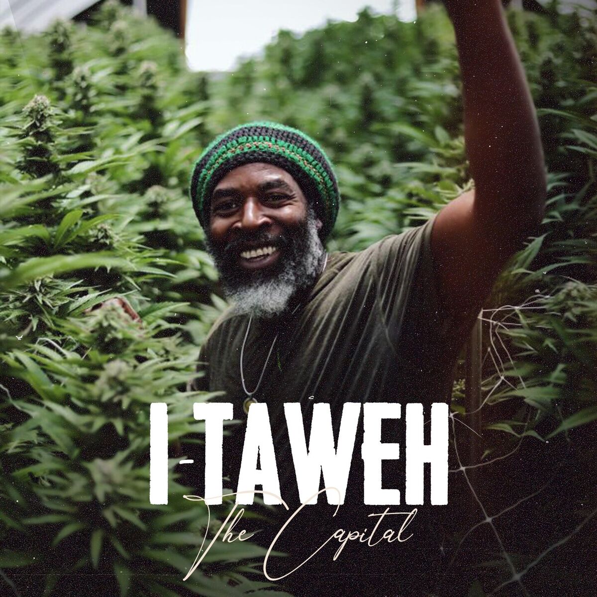 Album cover of The Capital