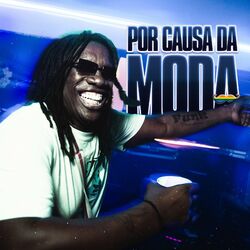 Cover of Por Causa da Moda