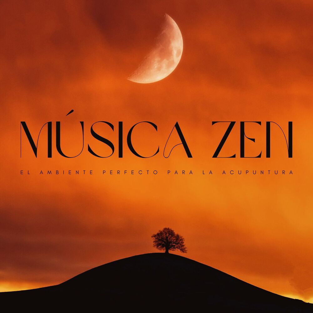 Picture of Música Zen: El Ambiente Perfecto Para La Acupuntura