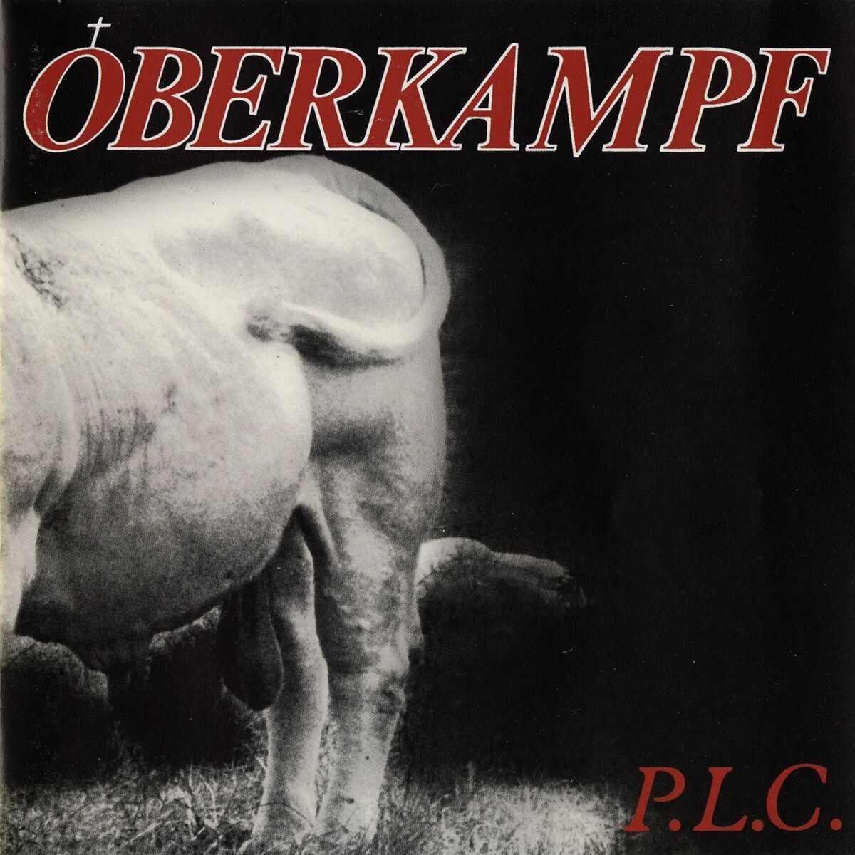 Album cover of P.L.C.