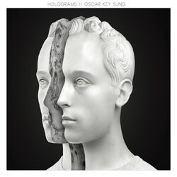 Cover of Holograms