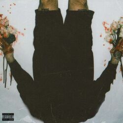 Cover of CANT REPLACE ME