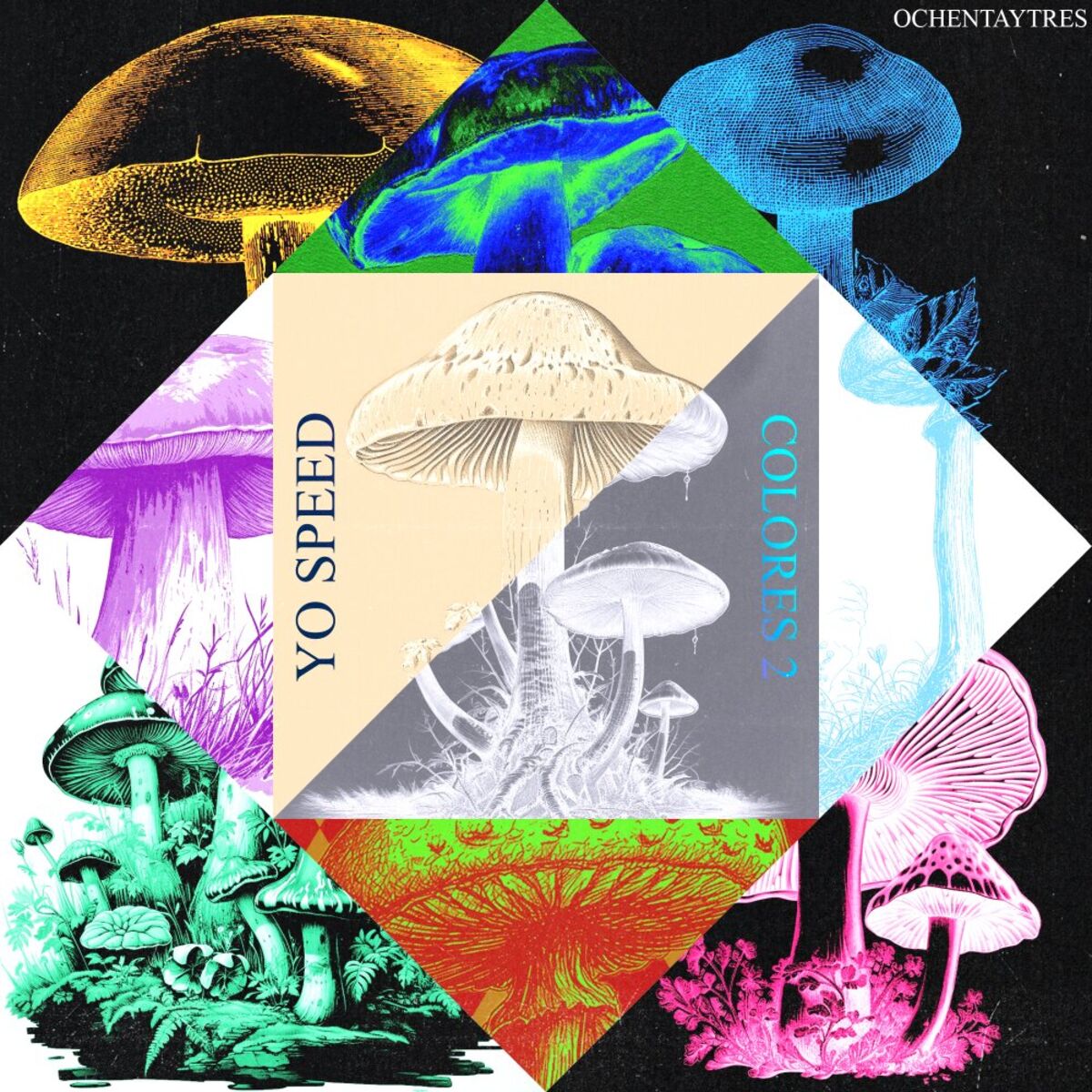 Album cover of Colores 2