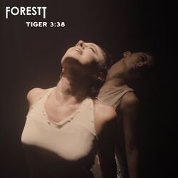 Cover of Tiger