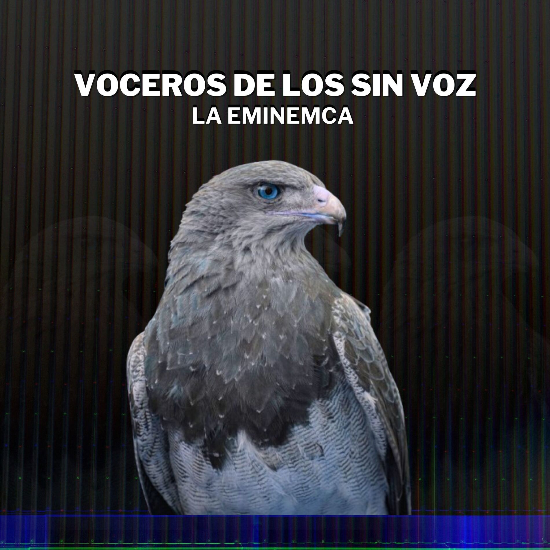Album cover of VOCEROS DE LOS SIN VOZ LA EMINEMCA (2025 Remastered Version)