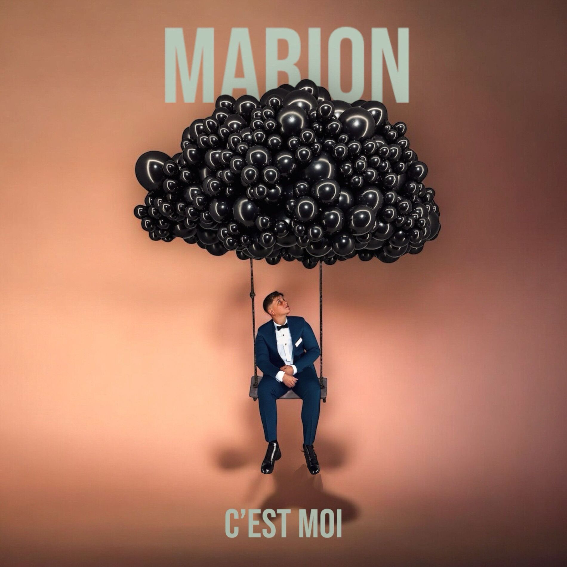 Album cover of C'est moi