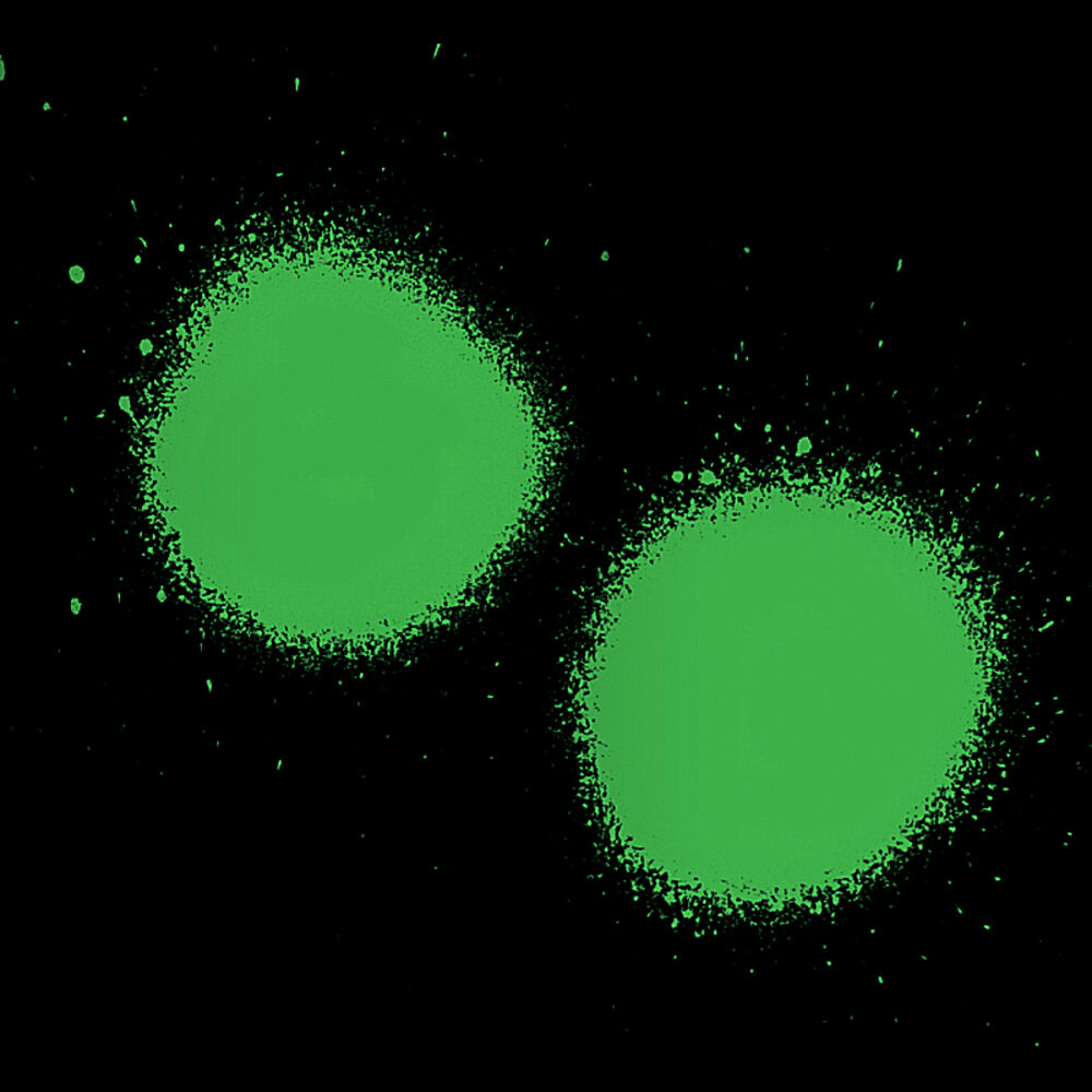 Picture of Black and Green - EP