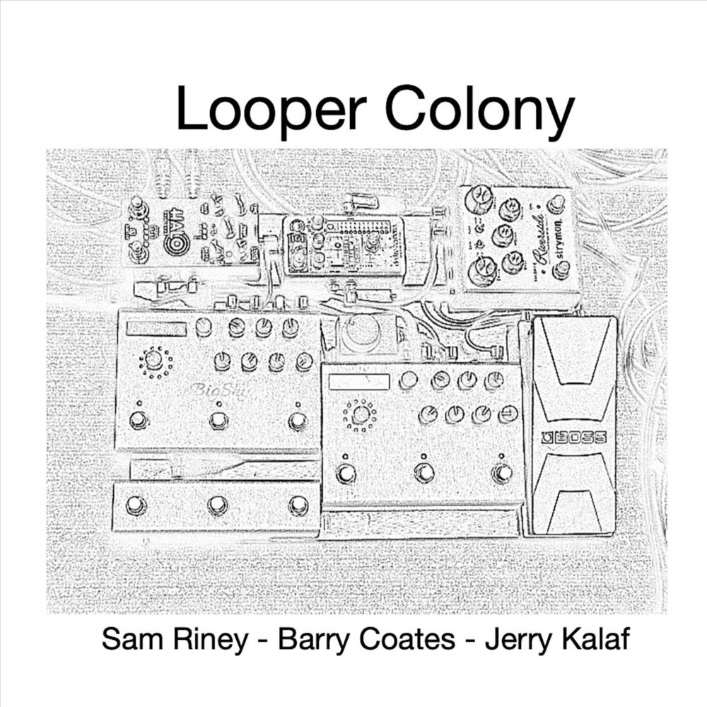 Picture of Looper Colony