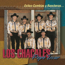 Cover of Exitos Cumbias y Rancheras