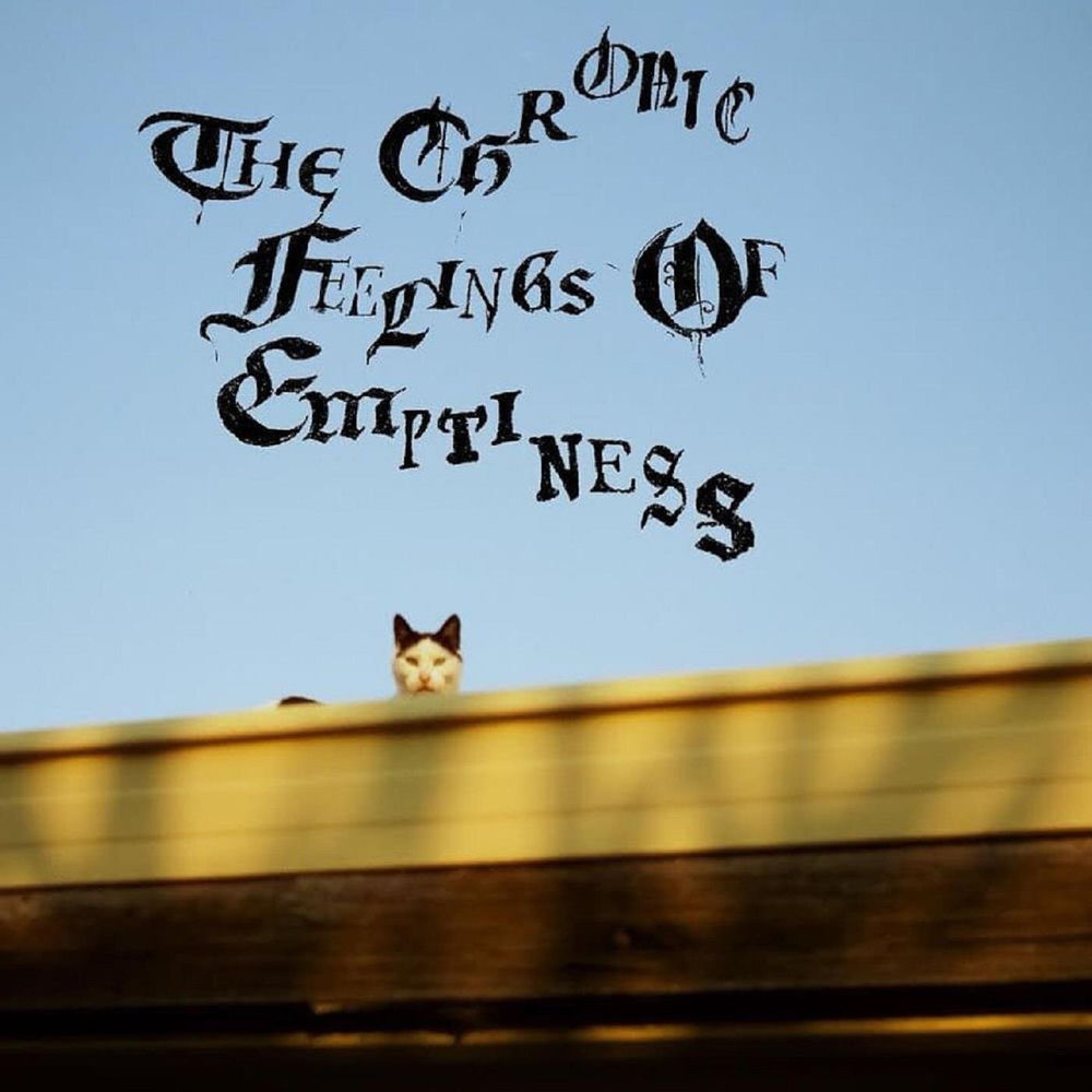Album artwork for The Nausea, Sudden Manic Bewilderment by The Chronic Feelings of Emptiness