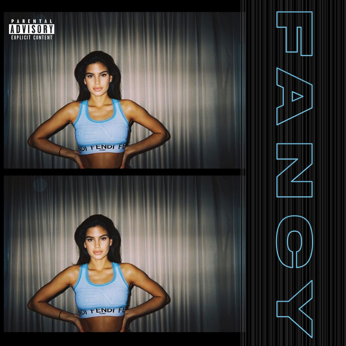 Album cover of Fancy