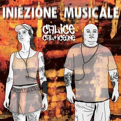 Cover of Iniezione musicale