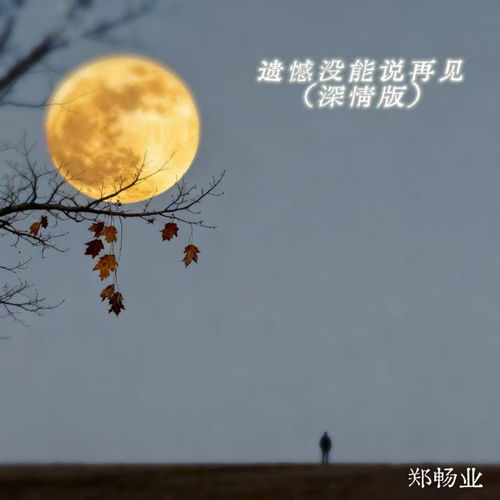 遗憾没能说再见 (深情版)
